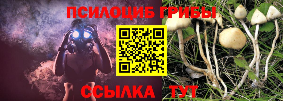 Псилоцибиновые грибы Psilocybine cubensis Белореченск