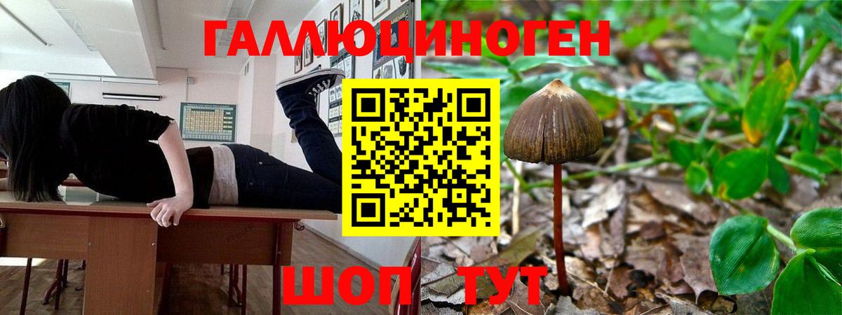 Галлюциногенные грибы мицелий  Псилоцибиновые грибы MAGIC MUSHROOMS  Белореченск  Вход с VPN 